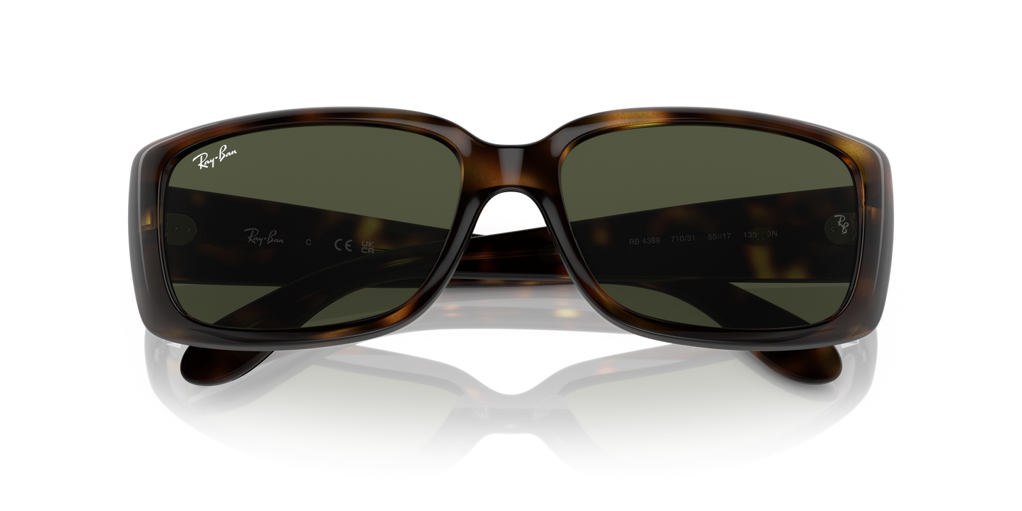 Ray-Ban RB4389 Sunglasses - Pillow Injected Frame