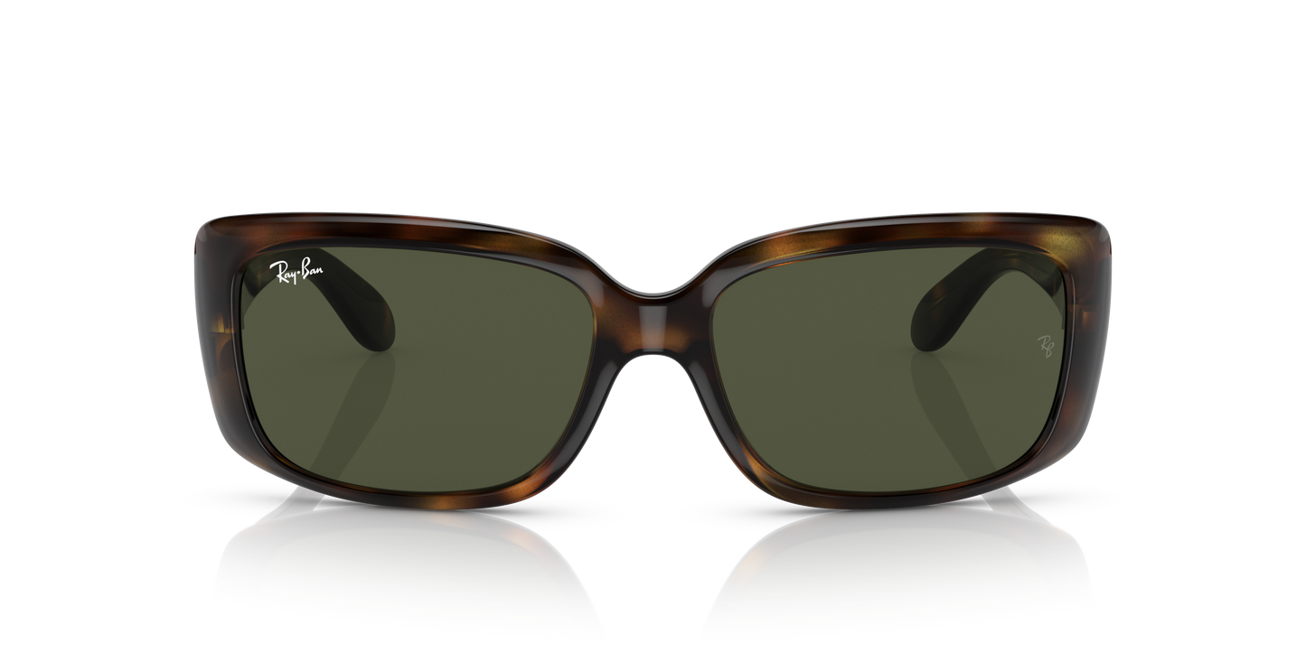 Ray-Ban RB4389 Sunglasses - Pillow Injected Frame