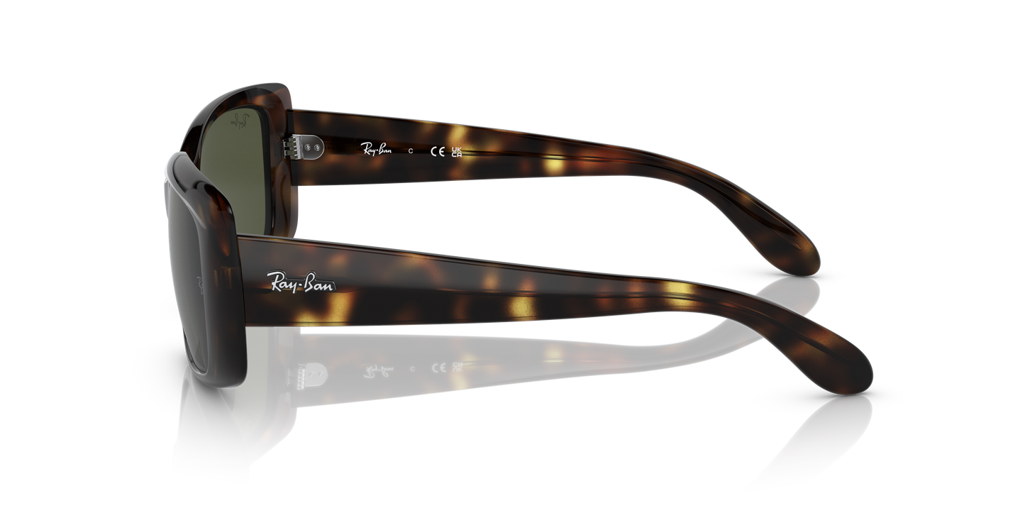 Ray-Ban RB4389 Sunglasses - Pillow Injected Frame