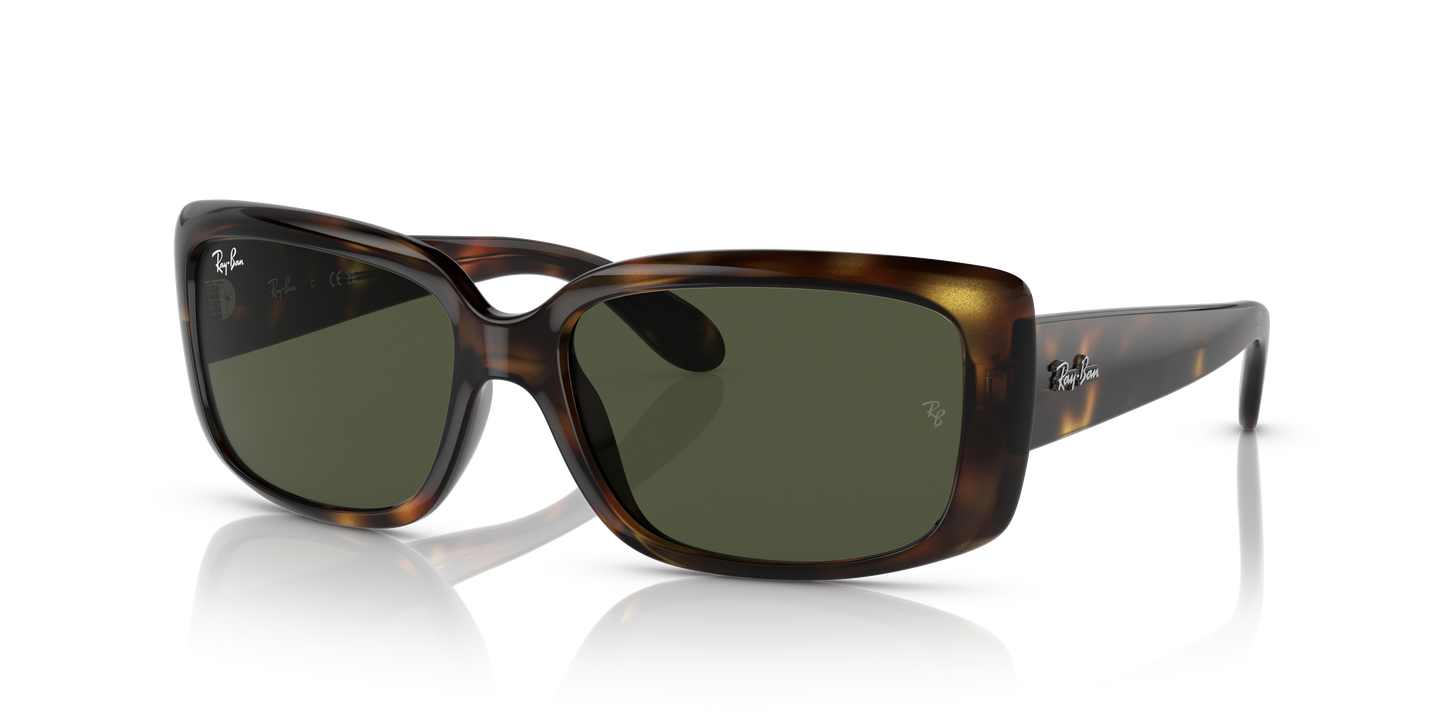 Ray-Ban RB4389 Sunglasses - Pillow Injected Frame