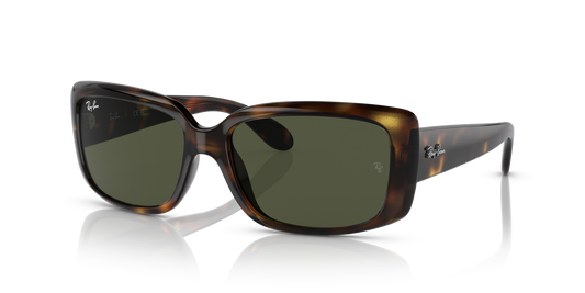 Ray-Ban RB4389 Sunglasses - Pillow Injected Frame