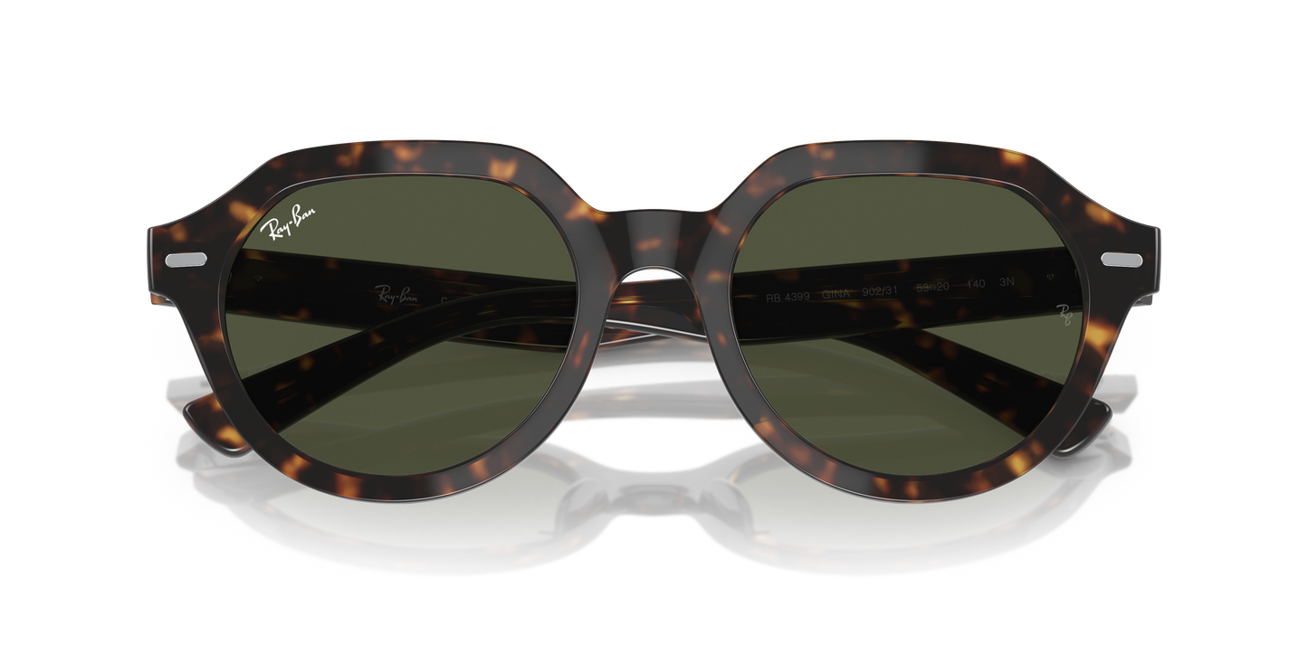 Ray-Ban RB4399 Gina Sunglasses - Square Injected Frame