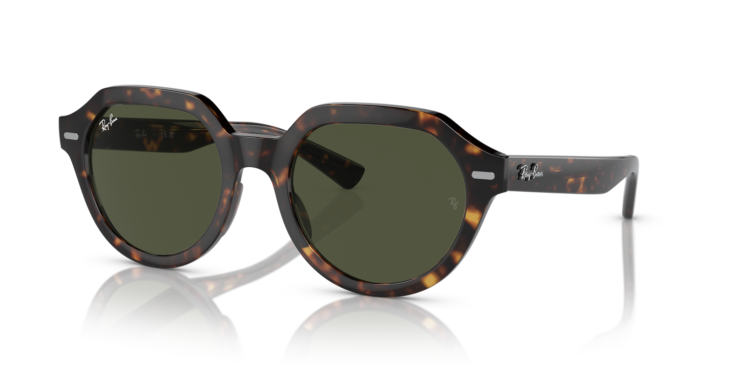 Ray-Ban RB4399 Gina Sunglasses - Square Injected Frame