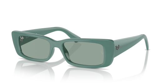 Ray-Ban RB4425 Teru Bio-Based Sunglasses - Rectangle Injected Frame