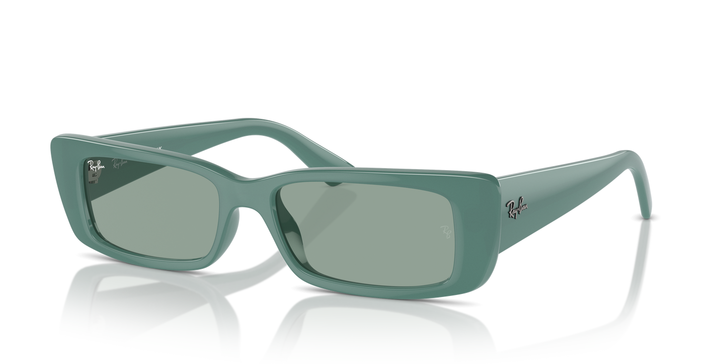 Ray-Ban RB4425 Teru Bio-Based Sunglasses - Rectangle Injected Frame