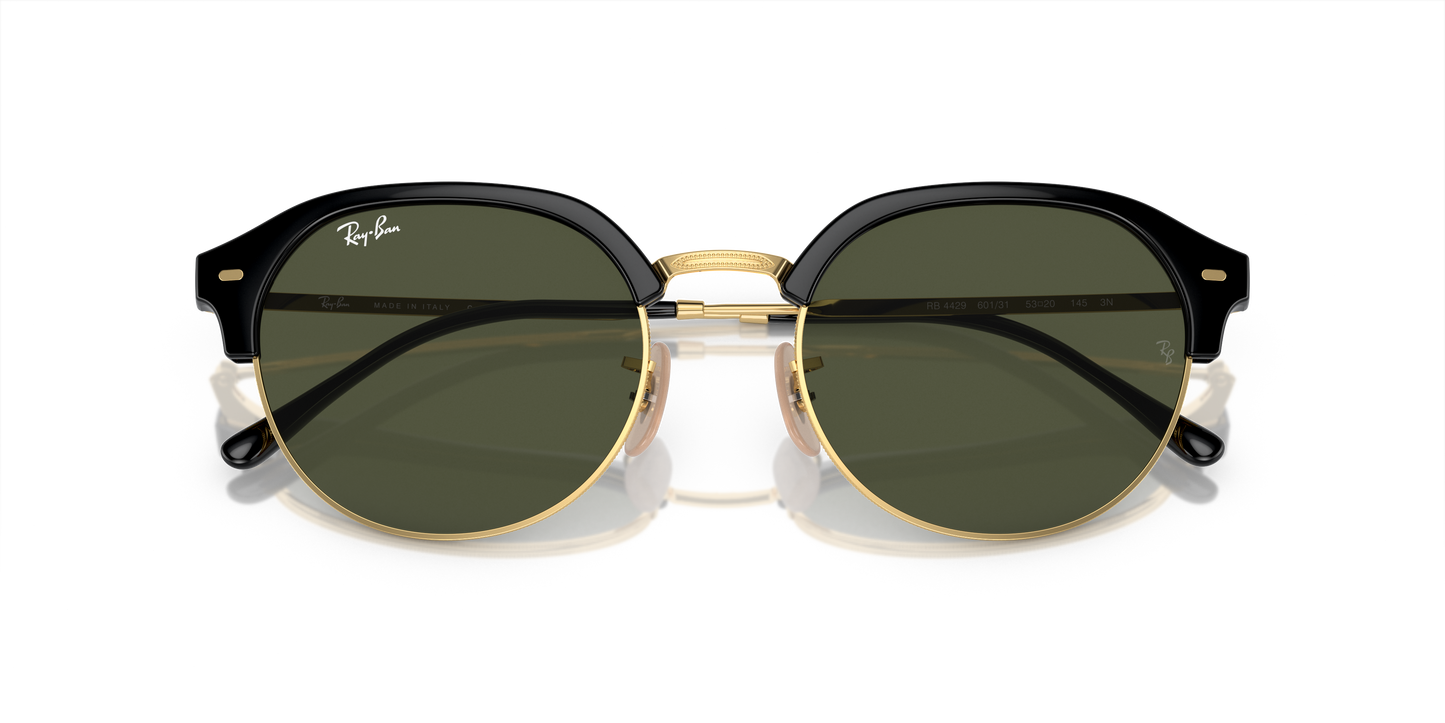 Ray-Ban RB4429 Sunglasses - Geometric Injected Frame