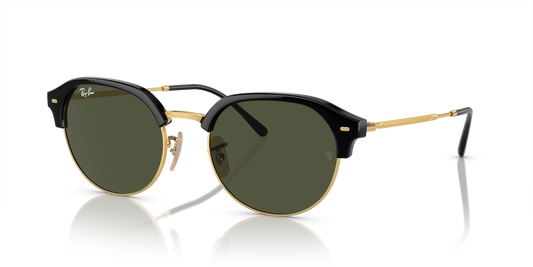 Ray-Ban RB4429 Sunglasses - Geometric Injected Frame