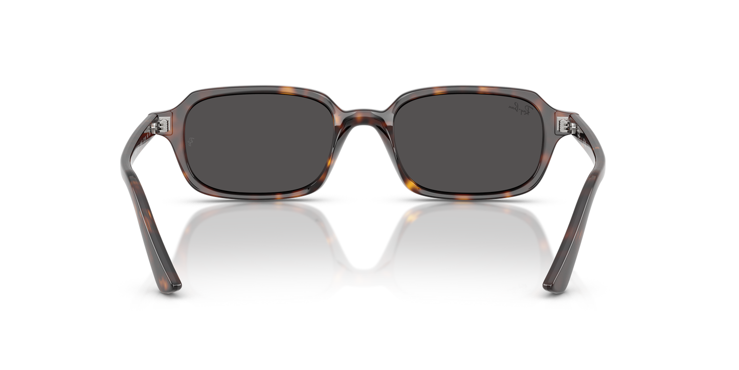 Ray-Ban RB4455 Zuri Bio-Based Sunglasses - Pillow Injected Frame