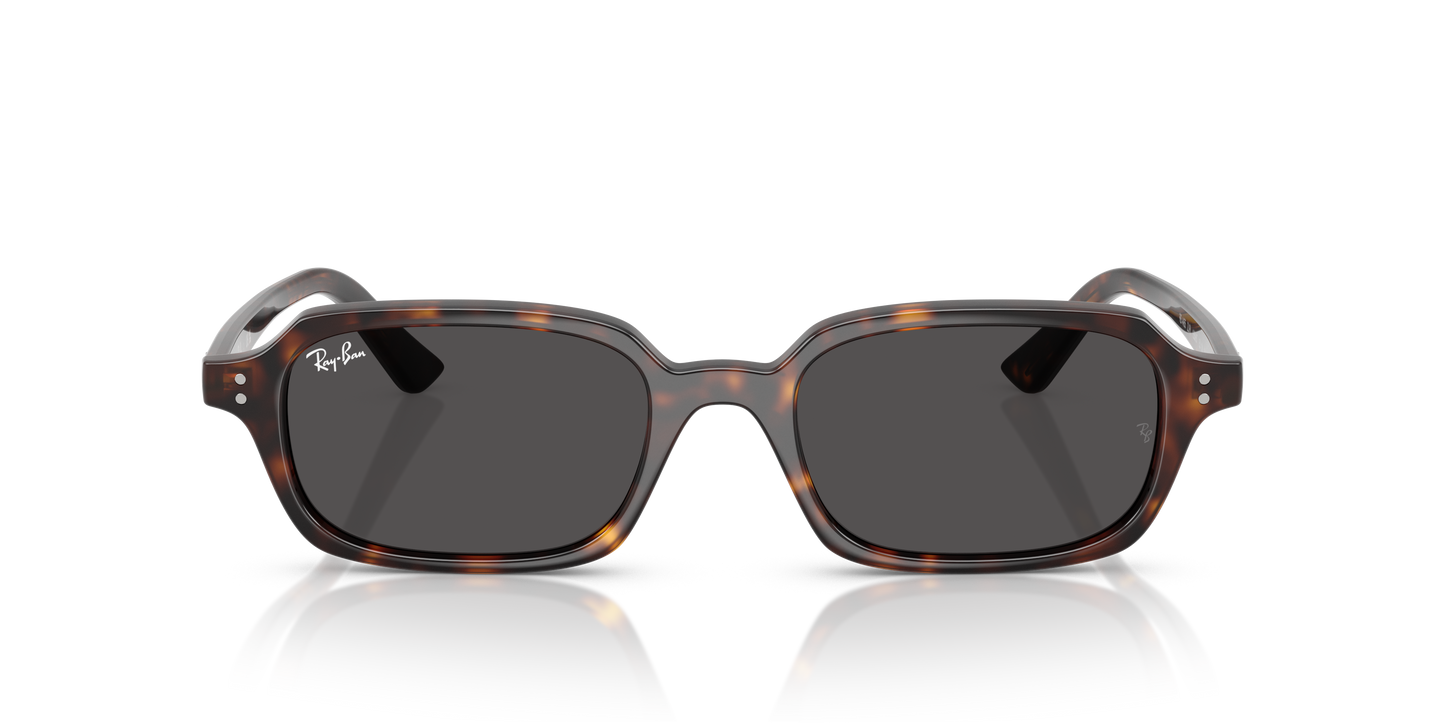 Ray-Ban RB4455 Zuri Bio-Based Sunglasses - Pillow Injected Frame