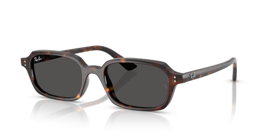 Ray-Ban RB4455 Zuri Bio-Based Sunglasses - Pillow Injected Frame