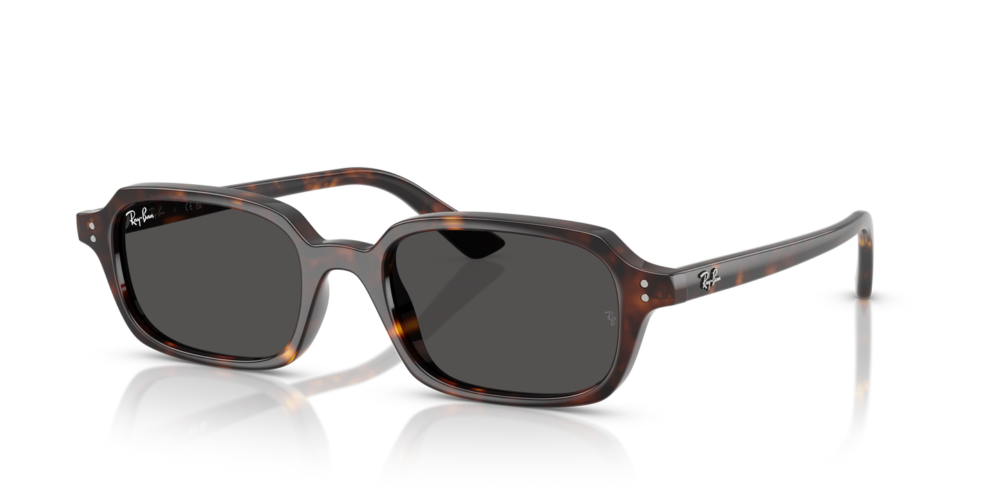 Ray-Ban RB4455 Zuri Bio-Based Sunglasses - Pillow Injected Frame