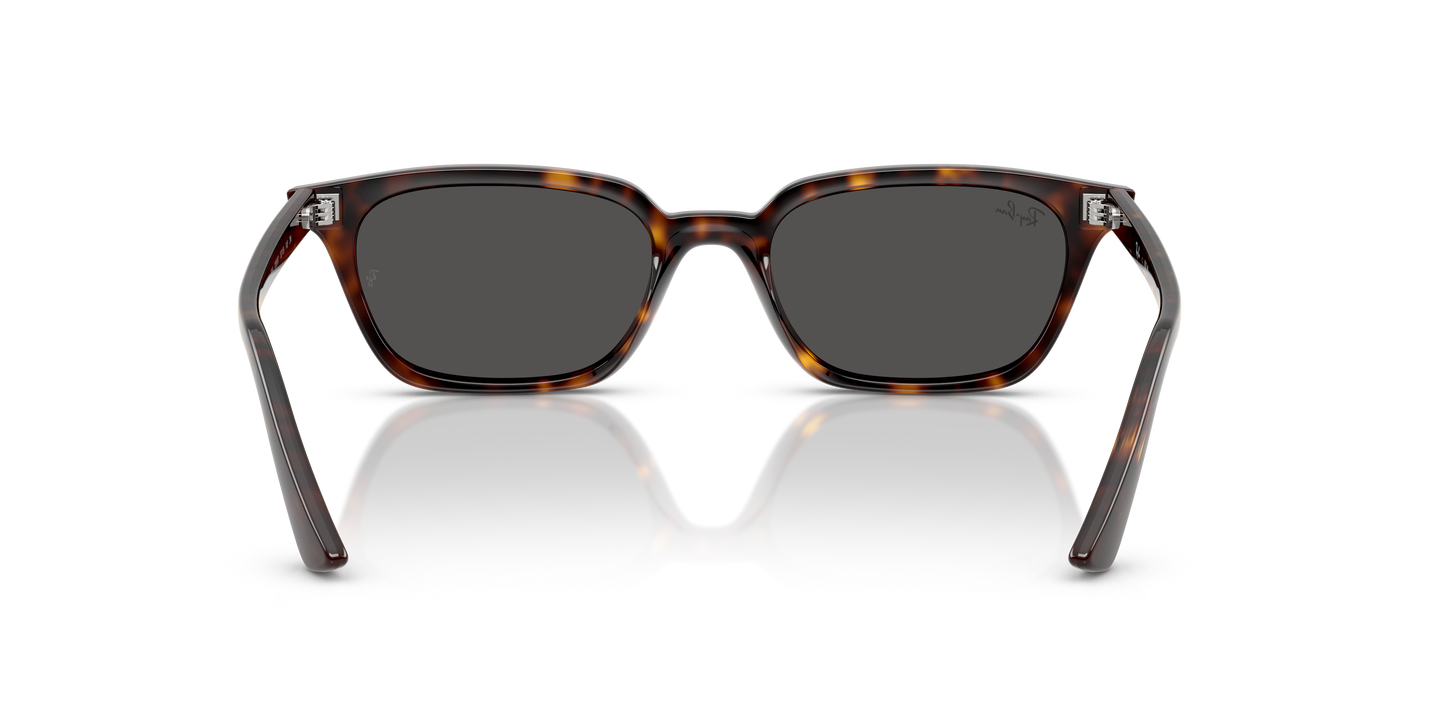 Ray-Ban RB4456 Zaya Bio-Based Sunglasses - Pillow Injected Frame