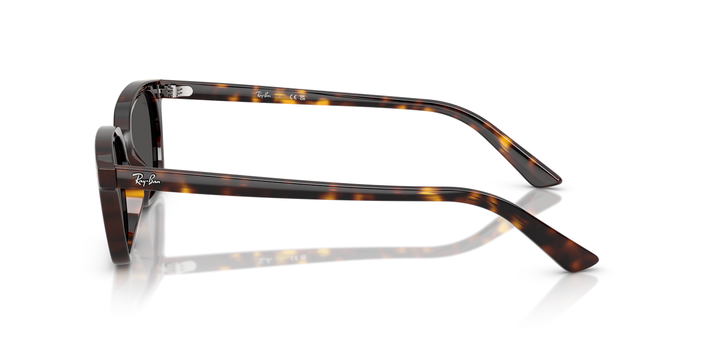 Ray-Ban RB4456 Zaya Bio-Based Sunglasses - Pillow Injected Frame