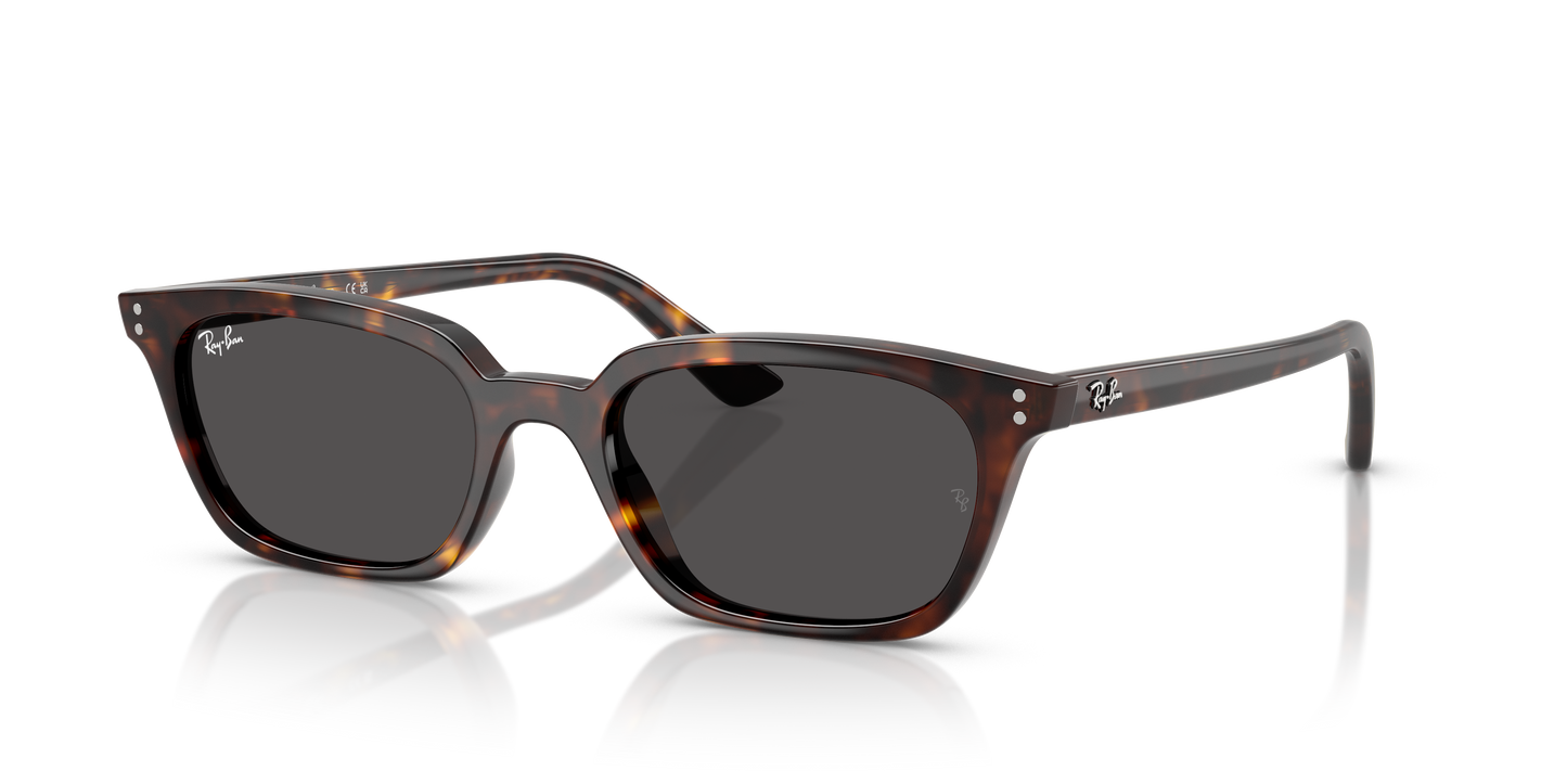 Ray-Ban RB4456 Zaya Bio-Based Sunglasses - Pillow Injected Frame