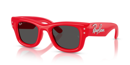 Ray-Ban RB4940B Wayfarer Puffer Crystal Edition Sunglasses - Square Injected Frame