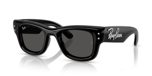 Ray-Ban RB4940B Wayfarer Puffer Crystal Edition Sunglasses - Square Injected Frame