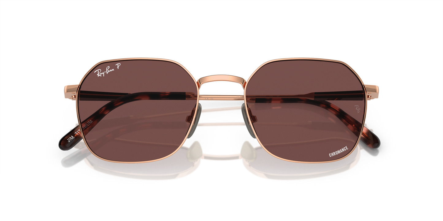 Ray-Ban RB8094 Jim Titanium Sunglasses - Geometric Metal Frame
