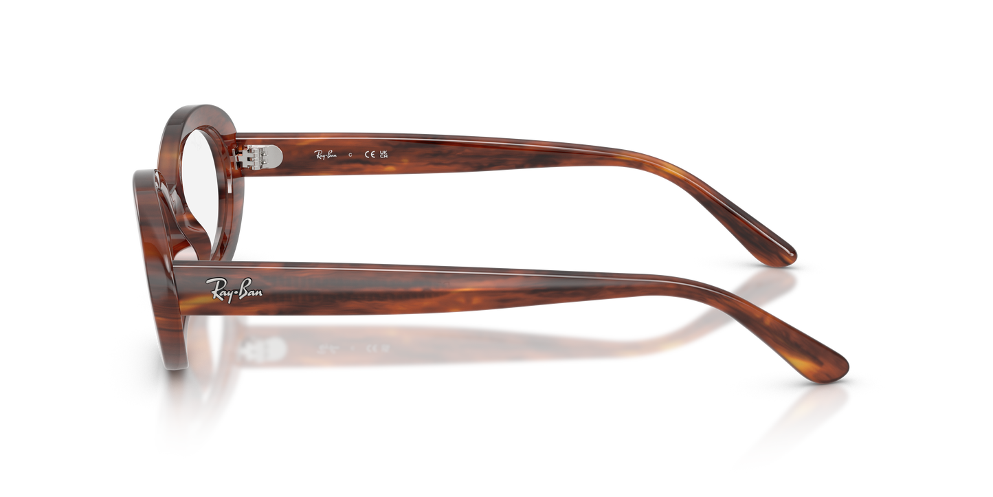 Ray-Ban RB2223V Eyeglasses - Oval Injected Frame