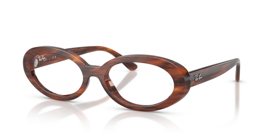 Ray-Ban RB2223V Eyeglasses - Oval Injected Frame