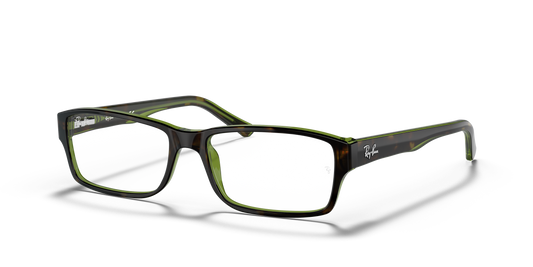 Ray-Ban RB5169 Eyeglasses - Rectangle Acetate Frame