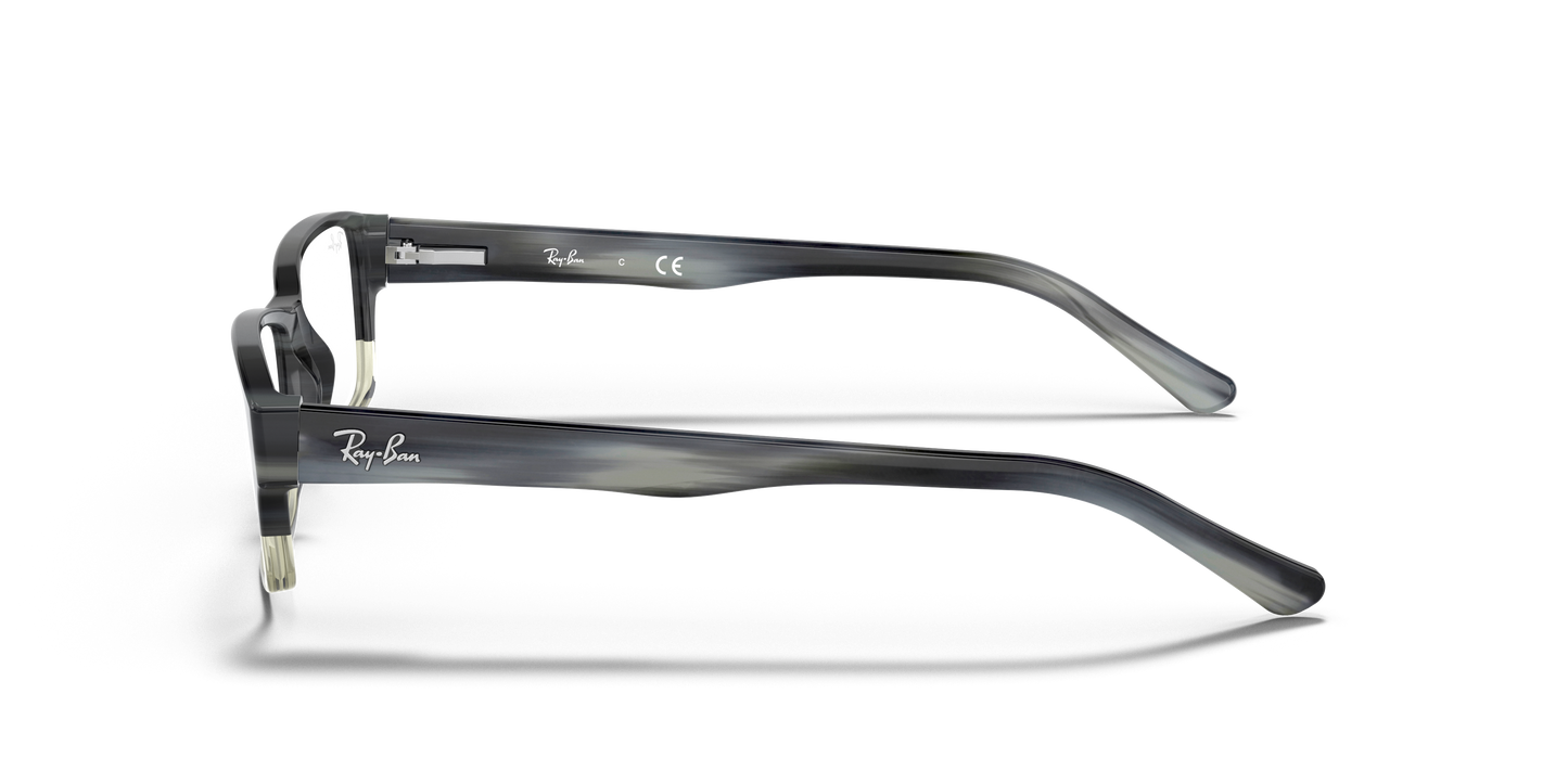 Ray-Ban RB5169 Eyeglasses - Rectangle Acetate Frame