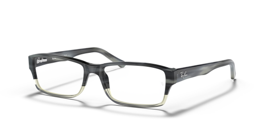 Ray-Ban RB5169 Eyeglasses - Rectangle Acetate Frame