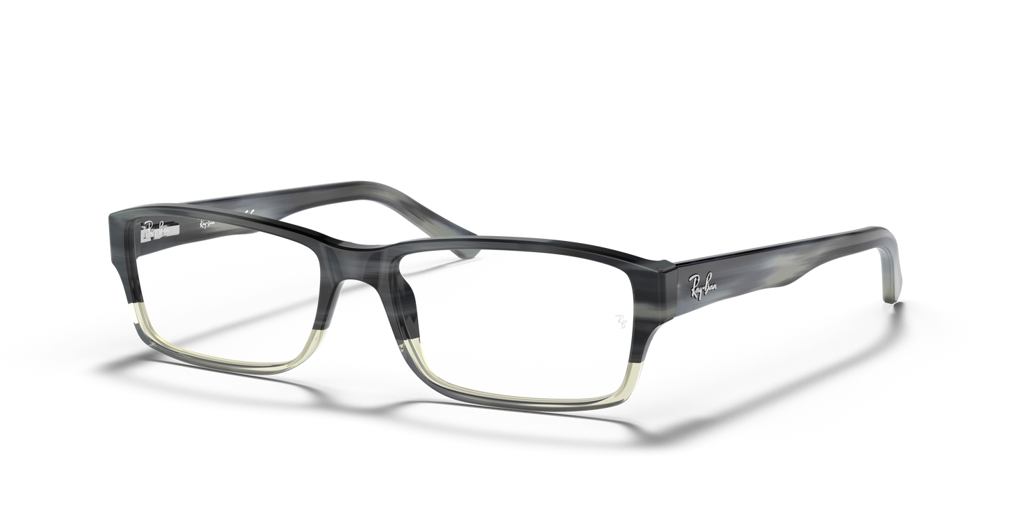 Ray-Ban RB5169 Eyeglasses - Rectangle Acetate Frame
