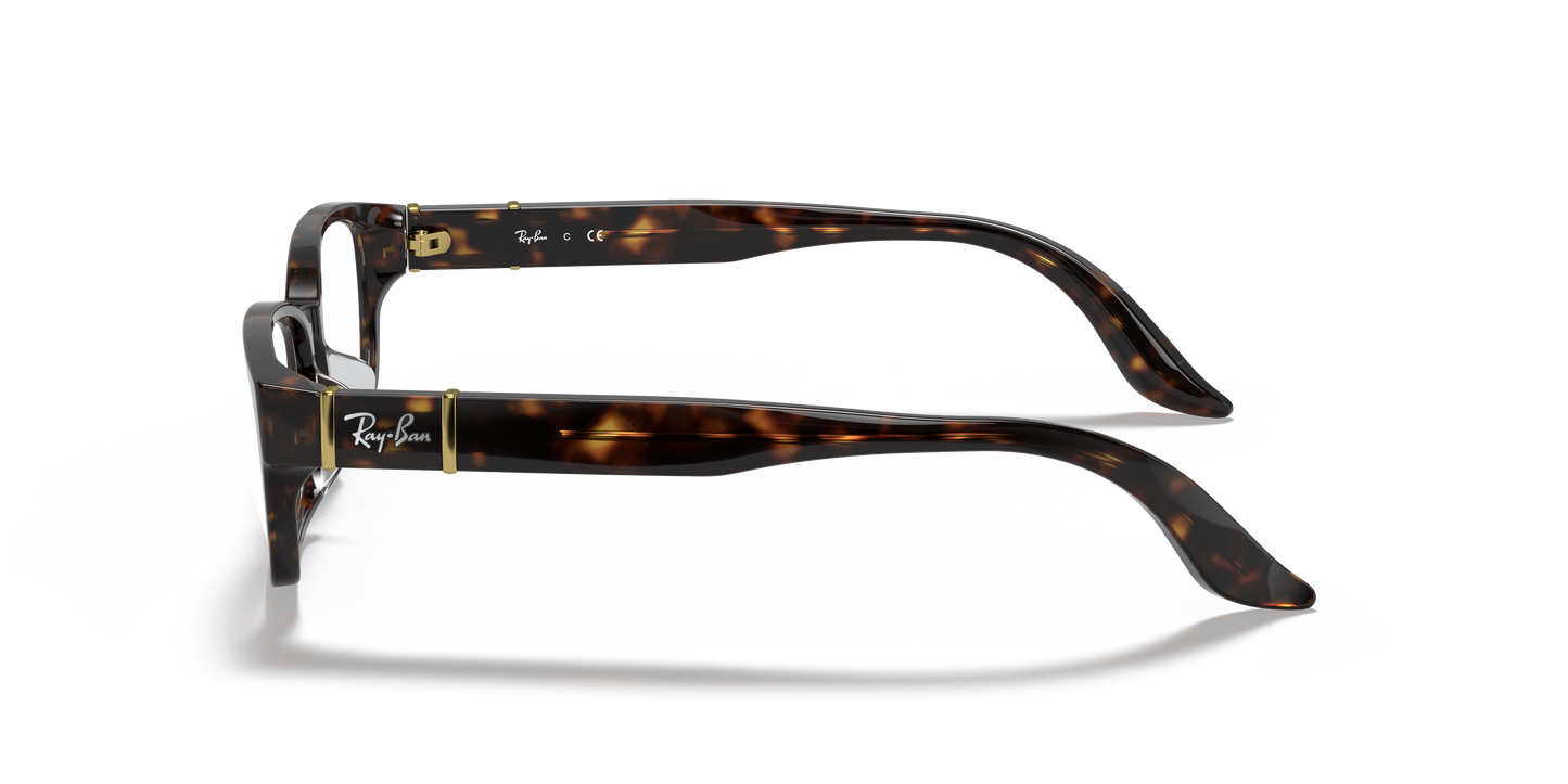 Ray-Ban RB5198 Eyeglasses - Square Acetate Frame