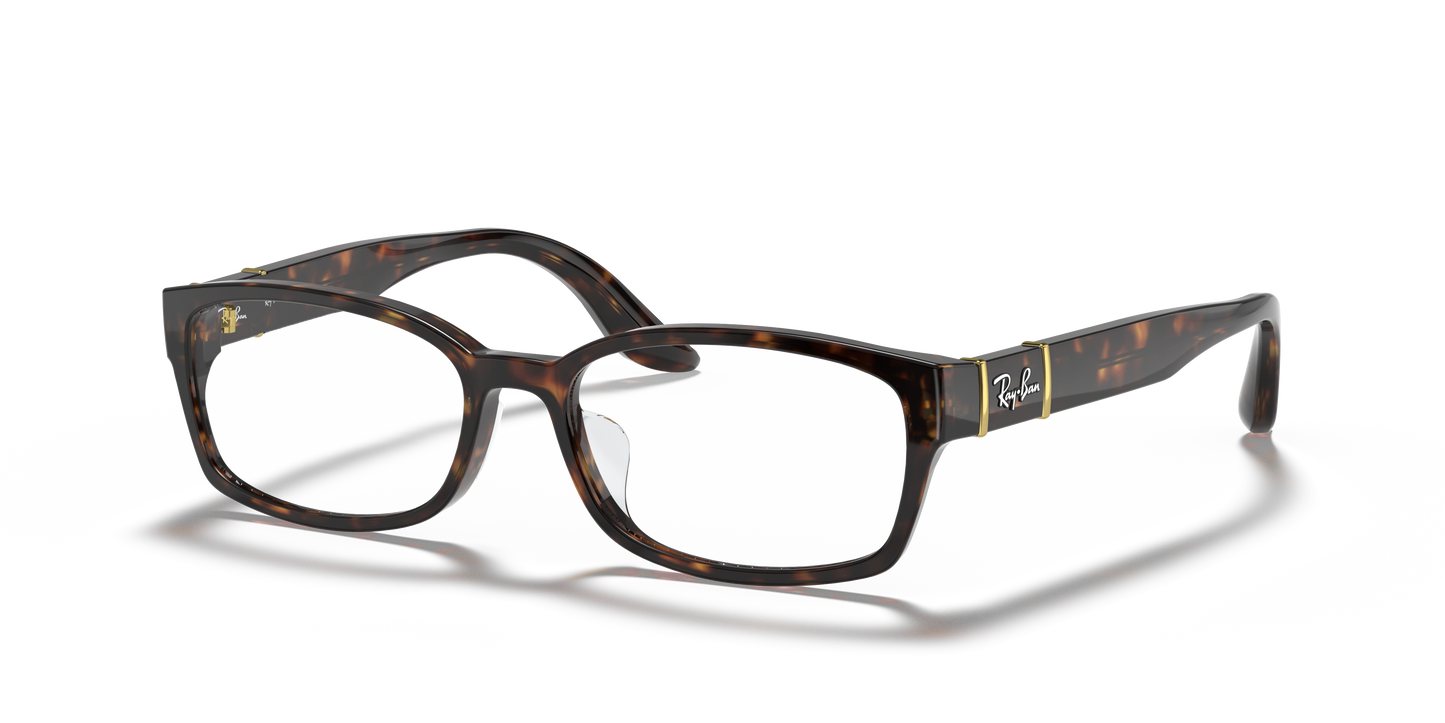 Ray-Ban RB5198 Eyeglasses - Square Acetate Frame