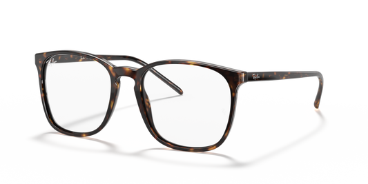 Ray-Ban RB5387 Eyeglasses - Square Acetate Frame