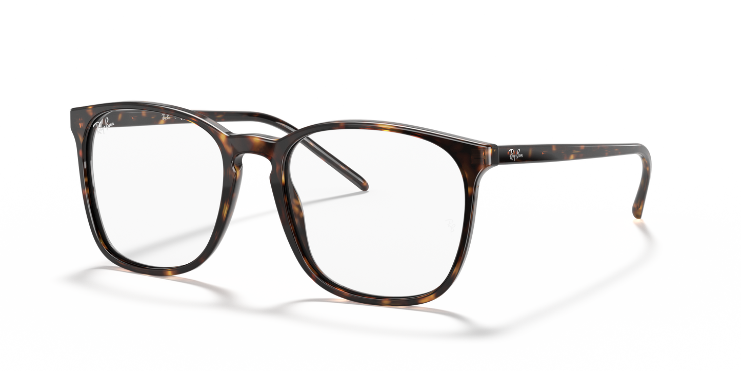 Ray-Ban RB5387 Eyeglasses - Square Acetate Frame
