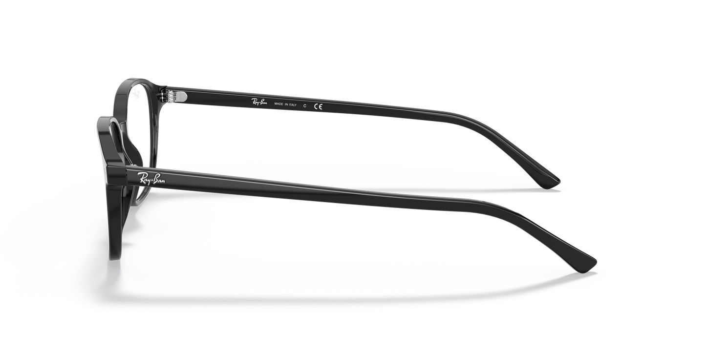 Ray-Ban RB5393 Leonard Eyeglasses - Square Acetate Frame