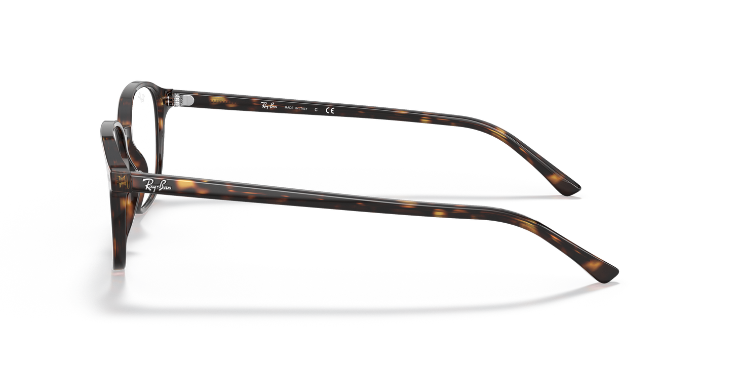 Ray-Ban RB5393 Leonard Eyeglasses - Square Acetate Frame